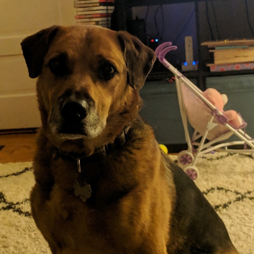 Meet your Posher, Amanda